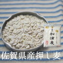 押し麦 国産 800g ～ 10kg 佐賀県産 押麦 無添加 麦ご飯 国産 大麦 雑穀 国産雑穀 腸活 押し麦クッキー 押し麦グラノ…