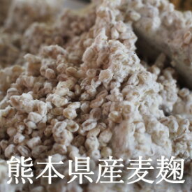 麦麹 麦こうじ 2kg ～ 10kg 生麹 国産 九州 熊本県産 手作り味噌用 合わせ味噌 麦みそ 麦味噌原料 【クール便配送】
