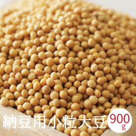 納豆用小粒大豆 900g 令和4年産 国産 すずおとめ スズオトメ 熊本県産 メール便 1000円ポッキリ 納豆 手作り納豆 送料無料 納豆用大豆 非遺伝子組み換え