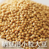 納豆用小粒大豆 800g ～ 20kg 令和6年産 国産 遺伝子組み換えでない ゆきしづか ユキシヅカ 北海道産 納…