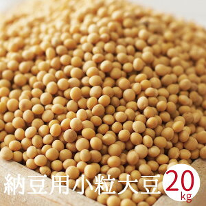 [p哤 800g ` 20kg ߘa5NY Y `qg݊łȂ Ƃ XYIg F{Y [ [  [p哤 `qg݊ 800g 2kg 3kg 5kg 10kg 15kg 20kg