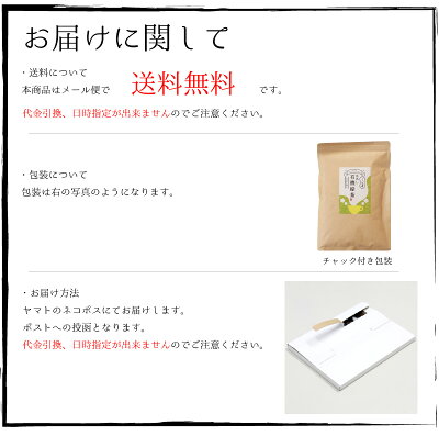 送料無料水出し緑茶ティーバッグ有機オーガニック国産80包入り大吉茶無添加九州熊本緑茶グリーンティーペットボトルに入る縦長ティーバッグ