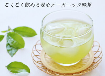 送料無料水出し緑茶ティーバッグ有機オーガニック国産80包入り大吉茶無添加九州熊本緑茶グリーンティーペットボトルに入る縦長ティーバッグ