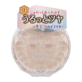 CANMAKE キャンメイク むにゅっとハイライター 01 ムーンライトジェム ラメ配合 透明感 光沢肌[ギフトラッピング対応]