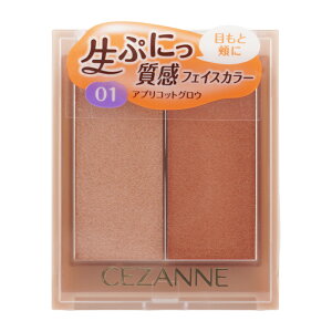 CEZANNE ZUk tFCXOEJ[ 01 AvRbgOE nCCg `[N ACVhE EH[^[v[t [MtgbsOΉ]