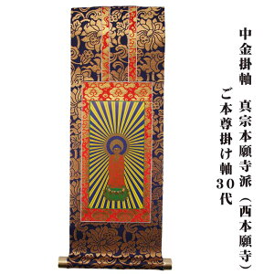 y|Cgő47{yVX[p[SALEz| y^@{莛hi{莛j {| 30 yr䂤pPbgցF360~z Ews 0906a008a