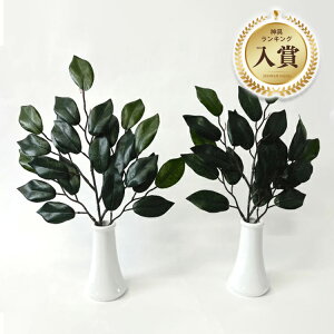 _Ip_ ijԁiSj 1 yNbN|XgΉ 200~z1404a015a