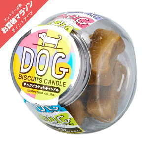 y|Cgő47{+P4{}\0̂z 낤 XC J}[\N hbOrXPbgLh ̐l̍DV[Y 0305a013a