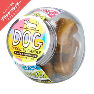 y|Cgő47{ubNtCf[z 낤 XC J}[\N hbOrXPbgLh ̐l̍DV[Y 0305a013a