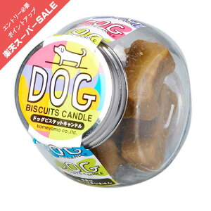 y|Cgő47{yVX[p[SALEz낤 XC J}[\N hbOrXPbgLh ̐l̍DV[Y 0305a013a