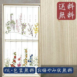 y|Cgő47{+P4{yVX[p[SALE5̂z p J} i Mtg  @v @̉ ˔ 12A\[g p ~@ފ @v  ̂ 