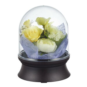 y|Cgő47{+P4{yVX[p[SALE5̂z~ ~傤 ~ t[h[@2@Fi1j LED 16cm (6676)  1801a019a