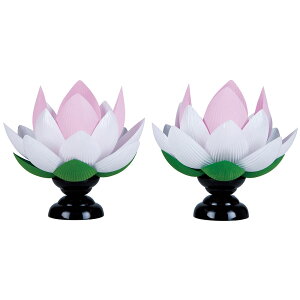 y|Cgő47{}\z ~ ~傤 ~ Ԙ@؁@iΓjvX`bN@20cm (6704)  1801a024a