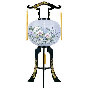 y11/20 20`|Cgő47{ubNtCf[z ~ ~傤 ~ ]@݂@etu  vX`bN 88cm (2459)  1804a052a