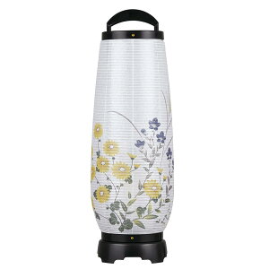 y|Cgő47{ubNtCf[z ~ ~傤 ~ ]@ڂ́@2 ej[  vX`bN 55cm (2732) @1806a049a