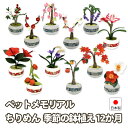 ペットメモリアル　お花の12か月　ちりめん　（ミニ）季節の鉢植え 12か月 南天 梅 桃 桜 藤 アマリリス ハイビスカス…
