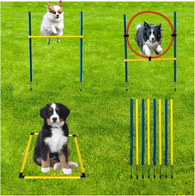 ドッグアジリティ 障害物 犬の敏捷性 トレーニング 運動器具 セット ジャンプバー スラローム ハードル ジャンピングリング 収納バッグ付き 屋外 室外　スターターキット トレーニング用品 持ち運び便利 犬玩具 競技訓練に