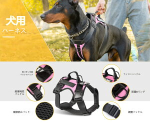 ^p hՃn[lX ˃xXg[h`JISK ԉ200m ʋCbV