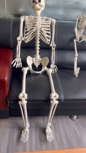 KCRc XPg hN | z[ ݂グ nMOXPg nEB u ݂グ[ z[nMO ~ G Halloween