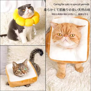 pPA Lp \tgGUxXJ[ H\ ߉\xg hdl p y NbVf