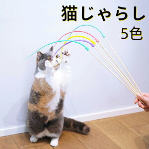 L炵 2{Zbg ˂݂̂   ˂ ނ XgX ^s ybgpi ͋[˂݂ ˂݂ lY~̌`