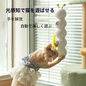 yTz ybgp lR L  ߋ X}[gZT[ L炵 L^s[`FCX VуXgX