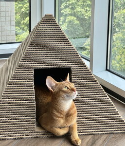 yL̉BƁz3Ds~bh^LbgnEX i{[܂Ƃ̌^ Vׂ違Q ȃXy[X݌v RۉH H꒼