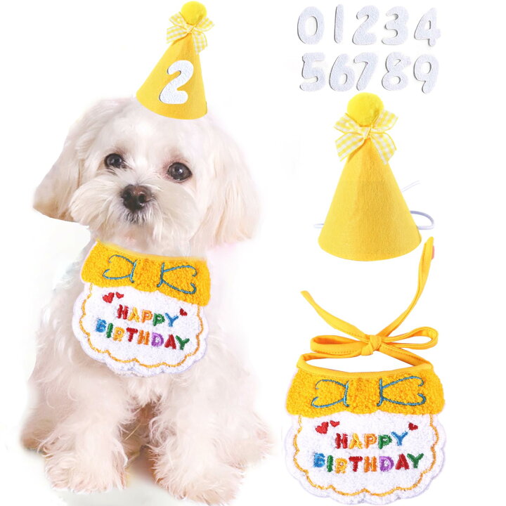 楽天市場】犬 誕生日 帽子 犬 猫用 誕生日グッズ 誕生日帽子 3点セット 