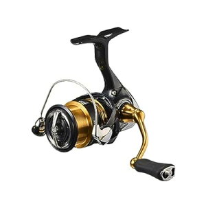 �X�s�j���O���[�� 23���K���X LT2000S-XH