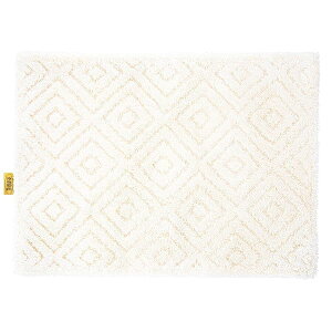 xǍDs[ oX}bg 45cm×60cm AC{[ (C}bg 唻   ʏ ӂ}bg R hL z  􂦂)