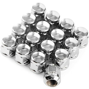 wz_x^Cv ԗpzC[ibg M12 x P1.5 ʍ 19HEX 25mm X`[ V[g Oibg 16Zbg N[