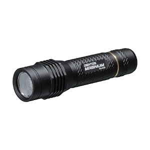 �����d�� LED���C�g �[�d��(��p�[�d�r) 300���[���� �}�O�i�� MG-845R �n���f�B���C�g �t���b�V�����C�g