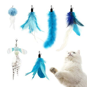 L ˂炵 H  ӂӂ pH u[n