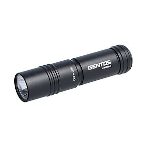 �����d�� ���^ LED���C�g �P3�d�r�� 120���[���� SNM-H31D �n���f�B���C�g �t���b�V�����C�g