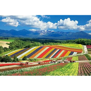 1000s[X WO\[pY lGʂ̋uƏ\xA(kC) (50x75cm) 10-1422