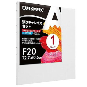 張りキャンバス セット F20 (72.7cmX60.6cm) 中目 全麻 1枚 リネン 専門の絵画用具 芸術絵創作 現代油絵 美術装飾 水彩画・油絵画・アクリル兼用