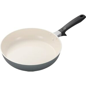 Zubh PFAS  Jh~E tbf sgp Z~bN H tCp 28cm KXΐp łtɂ gp Έȉ J[O[ CF-G28D-WGR