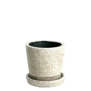 Aؔ v^[ 3.5 AC{[ 󂯎Mt  픫 J[ |pi 9.5cm 㕔:10.5cm ꕔ:8cm CH15-G527IV COLOR GLAZED POT IVORY