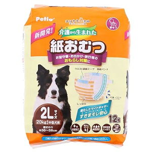 pIc zuttone 삩琶܂ꂽނ 2L 12 zCg