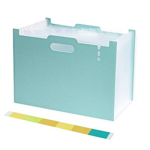 Tumosando ドキュメントファイル a4 大容量 加厚発泡PP ドキュメントスタンド のびる 13ポケット ジャバラファイル 持ち運び 蛇腹 区分けラベル付き 書類収納アコーディオンファイル 伸縮ファイ