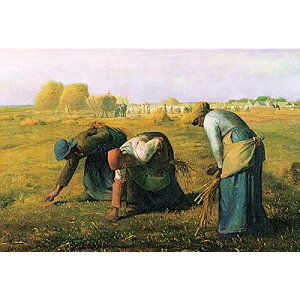  1053X[p[X[s[X WO\[pY CXg/A[g E̊G E (26×38cm) 31-026 ̂t wt _t