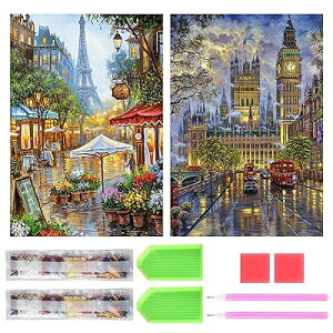 _ChA[g Lbg _Ch̊G 2Zbg ꂢ Sʓ\t _ChA[g 5D S l̎q DIY |Lbg Ƃ̕ǂ̑ (Xg[gr[)