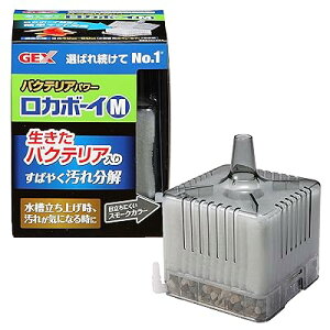 GEX J{[C oNeAp[ { ΂₭ꕪ ubNX[N M