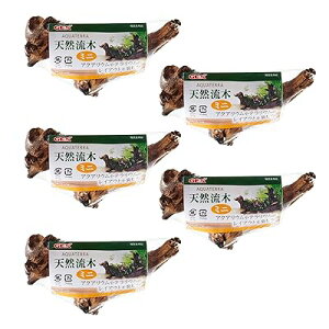 ジェックス 天然流木 ミニ×5個セット