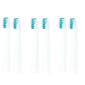 �h���c �ւ��u���V �X�����p���W�ɍזуu���V EW0971-W�i���j 2�{���� x3�Z�b�g�i�v6�{�j