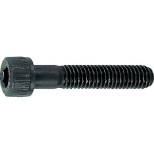 (�g���X�R) �Z�p���t�{���g �����ߔ��l�W �T�C�YM3×40 28�{�� B30-0340