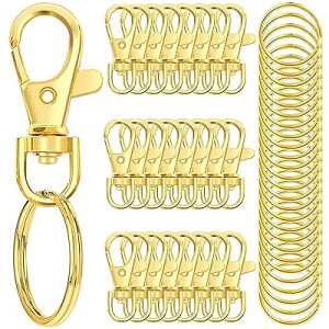 L[z_[  L[z_[p[c 50 S4.7CM iXJ W p[c L[z_[p[c ]tbN ۃJ t nhCh L[O ANZT[ DIY |pi (Vo[