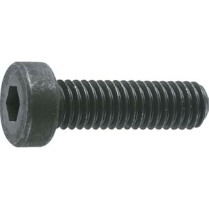 (�g���X�R) �ᓪ�Z�p���t�{���g �����ߑS�l�W M5×8 13�{�� B081-0508