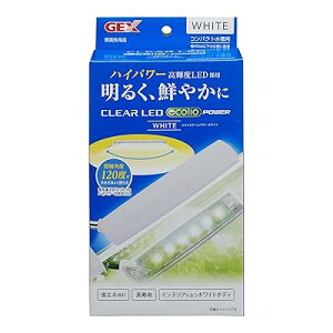 WFbNX NALED GRIA[ p[ zCg ^LED nCp[LED F