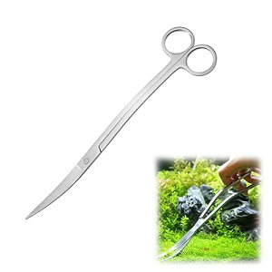 ���� �g���~���O �n�T�~ �A�N�A���E�� �I�[���X�e�����X �����p �M�ы� �ϗt�A�� �~�� ���� �����e�i���X �����|�� �X�e�����X�� �g�^ �S�� 25cm